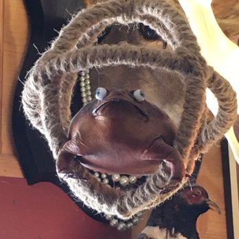 Vintage Trixie - Anyone need a taxidermy frog. They have it - Antiques Near Me - Chesapeake, Virginia Vintage Trixie - Anyone need a taxidermy frog. They have it - Antiques Near Me - Chesapeake, Virginia