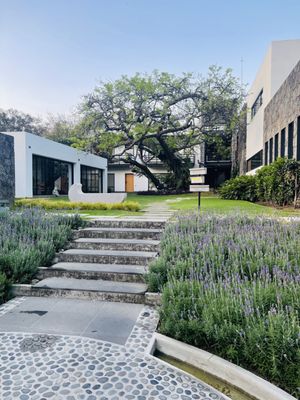 Casa Fernanda Hotel Boutique by null