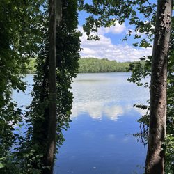 Virginia B. Fairbanks Art & Nature Park - Lake View
