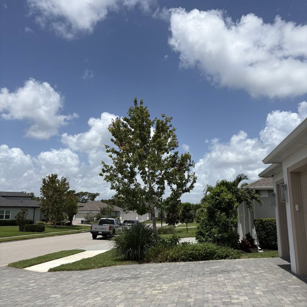 Edward's Tree Service - Florida - Tree Services Near Me - Sarasota, Florida Edward's Tree Service - Florida - Tree Services Near Me - Sarasota, Florida