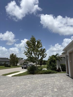 Edward's Tree Service on Yelp