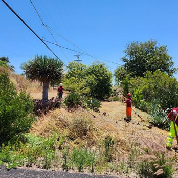 Vista Valley Tree Service - Tree Services Near Me Vista Valley Tree Service - Tree Services Near Me