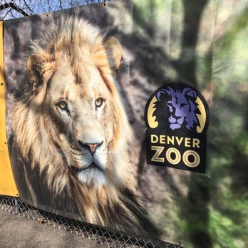 Denver Zoo - Zoos Near Me - Denver, Colorado Denver Zoo - Zoos Near Me - Denver, Colorado