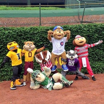 Chicago Cubs - Professional Sports Teams Near Me - Chicago, Illinois