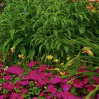 MTM Grading & Landscaping Solutions - Landscaping Near Me MTM Grading & Landscaping Solutions - Landscaping Near Me