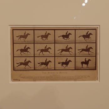 Cantor Arts Center - Muybridge horse photos - Museums Near Me - Palo Alto, California