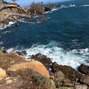 Salt Point State Park - Yes that's really the blue of the water in the Gerstle Cove area - Parks Near Me - Jenner, California