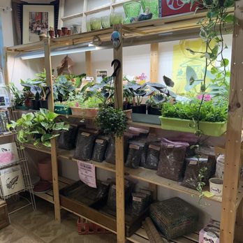 Eden House Botanicals - Nurseries & Gardening Near Me - Austin, Texas