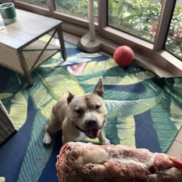 Hank + Turkey neck