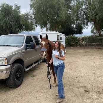 Lia's Equine Training - Horseback Riding Near Me Lia's Equine Training - Horseback Riding Near Me
