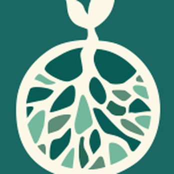 Root Acupuncture and Herbal Therapy - Acupuncture Near Me - Chicago, Illinois Root Acupuncture and Herbal Therapy - Acupuncture Near Me - Chicago, Illinois