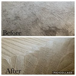 Same Day Carpet Cleaning Service - Carpet pretreatment with steam cleaning 3 regular sizes bedrooms pretreatment with steam cleaning $120