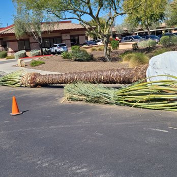 Outdoor Solutions - Landscaping Near Me - Mesa, Arizona Outdoor Solutions - Landscaping Near Me - Mesa, Arizona