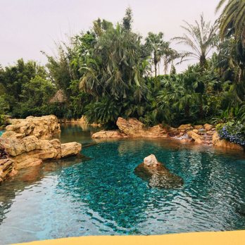 Discovery Cove - Amusement Parks Near Me - Orlando, Florida