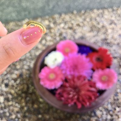 Shōrin-ji Temple by null