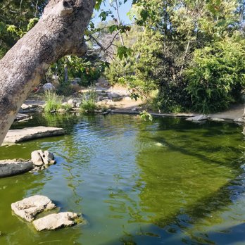 Hopkins Wilderness Park - Parks Near Me - Redondo Beach, California