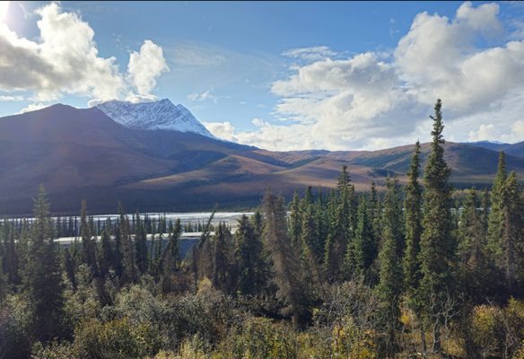 Northern Alaska Tour Company by null