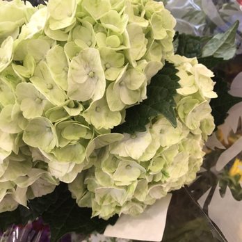 Trader Joe's - Beautiful, picked up to dress my table...only $6.99! - Grocery Near Me - Houston, Texas Trader Joe's - Beautiful, picked up to dress my table...only $6.99! - Grocery Near Me - Houston, Texas