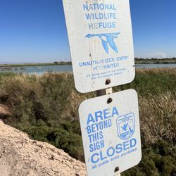 Sonny Bono Salton Sea National Wildlife Refuge