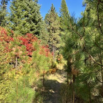 Metolius Preserve - Metolius Preserve - Larch Trail - Hiking Near Me