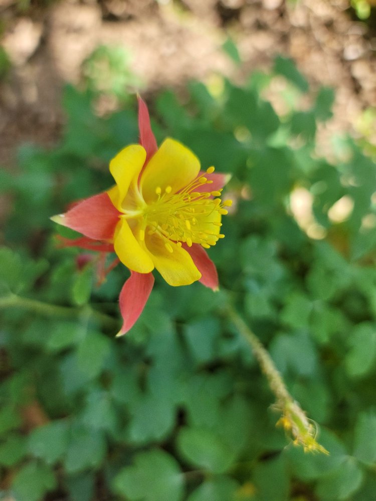 SYCAMORE RANCH VINEYARD & WINERY 57 Photos & 44 Reviews Dart Canyon