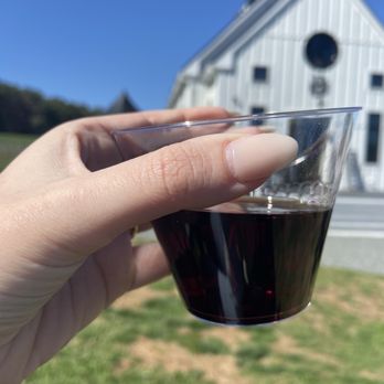 Bleu Frog Vineyards - Wine Tasting Room Near Me - Leesburg, Virginia Bleu Frog Vineyards - Wine Tasting Room Near Me - Leesburg, Virginia