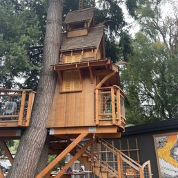 Tree house at Aroma Coffee Tree house at Aroma Coffee