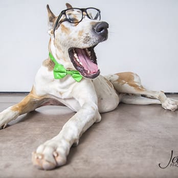 Animal Kingdom - Pet Stores Near Me - Tucson, Arizona