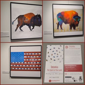Aurora History Museum - Tatanka: The Spirit of the Land  07-12-2022 - Museums Near Me - Aurora, Colorado