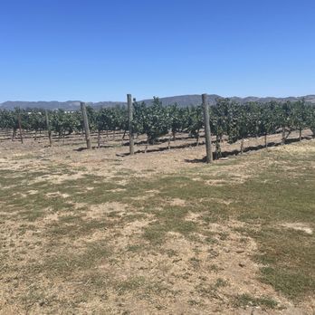 Larson Family Winery - Wineries Near Me - Sonoma, California Larson Family Winery - Wineries Near Me - Sonoma, California