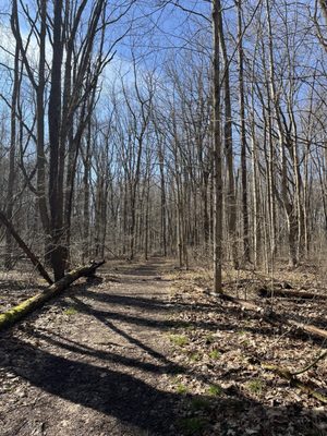 Potato Creek State Park by null