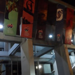 Museo de Ciencias Naturales - Vista nocturna