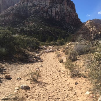 Pine Creek Canyon - Hiking Near Me - Las Vegas, Nevada Pine Creek Canyon - Hiking Near Me - Las Vegas, Nevada