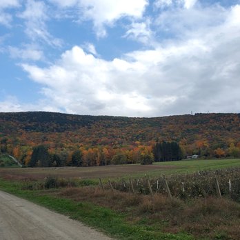 Bartlett's Orchard - View! - Bakeries Near Me - Richmond, Massachusetts Bartlett's Orchard - View! - Bakeries Near Me - Richmond, Massachusetts