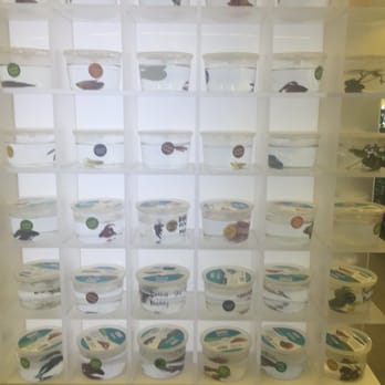 Petco - Beta Fish - Pet Training Near Me - San Antonio, Texas Petco - Beta Fish - Pet Training Near Me - San Antonio, Texas