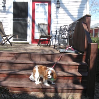 Brewster By The Sea Inn - Private deck of the Refugio Suite (and our doggie) - Hotels Near Me - Brewster, Massachusetts Brewster By The Sea Inn - Private deck of the Refugio Suite (and our doggie) - Hotels Near Me - Brewster, Massachusetts