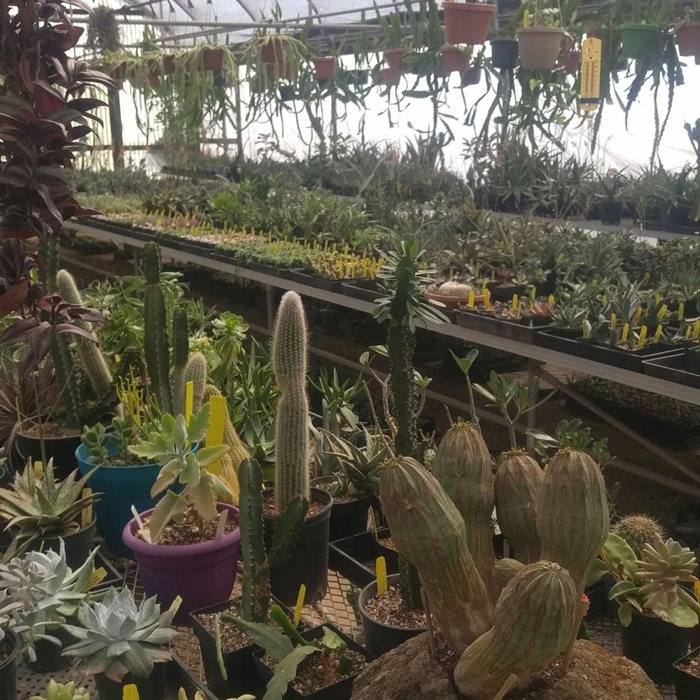 Poot's Cactus Nursery - Nurseries & Gardening Near Me - Ripon, California Poot's Cactus Nursery - Nurseries & Gardening Near Me - Ripon, California