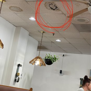 Baja Restaurant - Back dining area with mold on ceiling - New American Near Me - Crown Point, Indiana