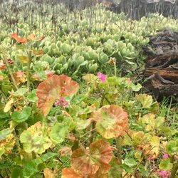 Prayer Mountain - The beauty of God is seen everywhere