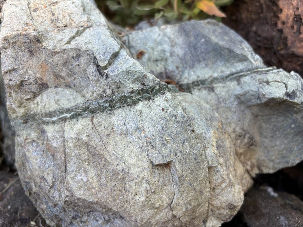 MX Environmental Consulting - mold inspector in San Jose, CA