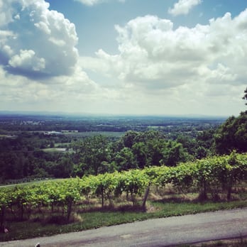 Bluemont Vineyard - The vineyard view - Venues & Event Spaces Near Me - Bluemont, Virginia