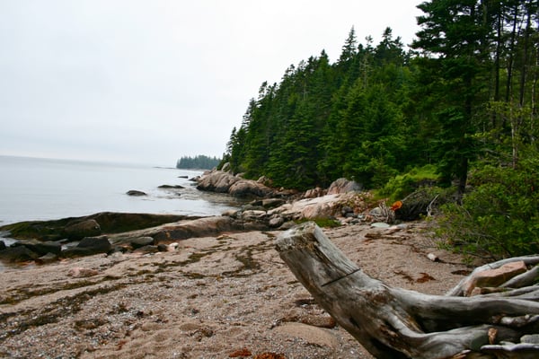 Goose Cove Resort by null