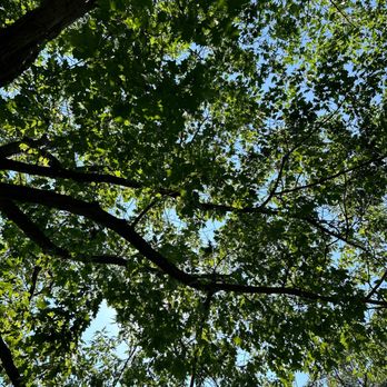 Dawes Park - Parks Near Me - Evanston, Illinois Dawes Park - Parks Near Me - Evanston, Illinois