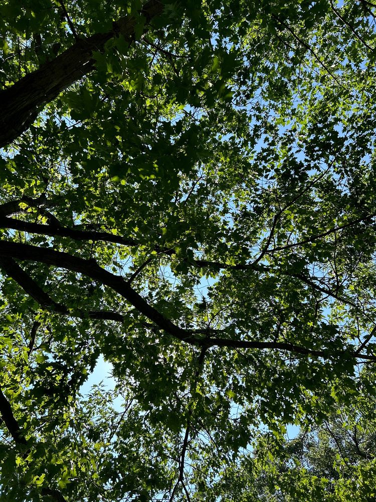 Social spots from Dawes Park