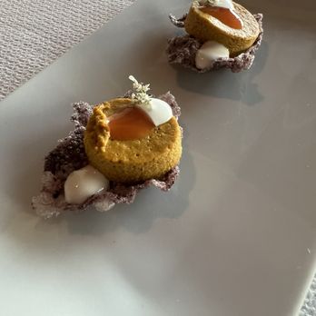 Cocina de Autor - Sea urchin on rice chip with chipotle sauce - Signature Cuisine Near Me - Playa del Carmen, ROO