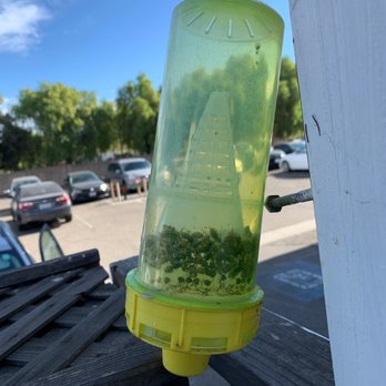 The Solvang Bakery - Bee traps!! - Bakeries Near Me - Solvang, California The Solvang Bakery - Bee traps!! - Bakeries Near Me - Solvang, California