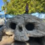 Photo of Pirate Park