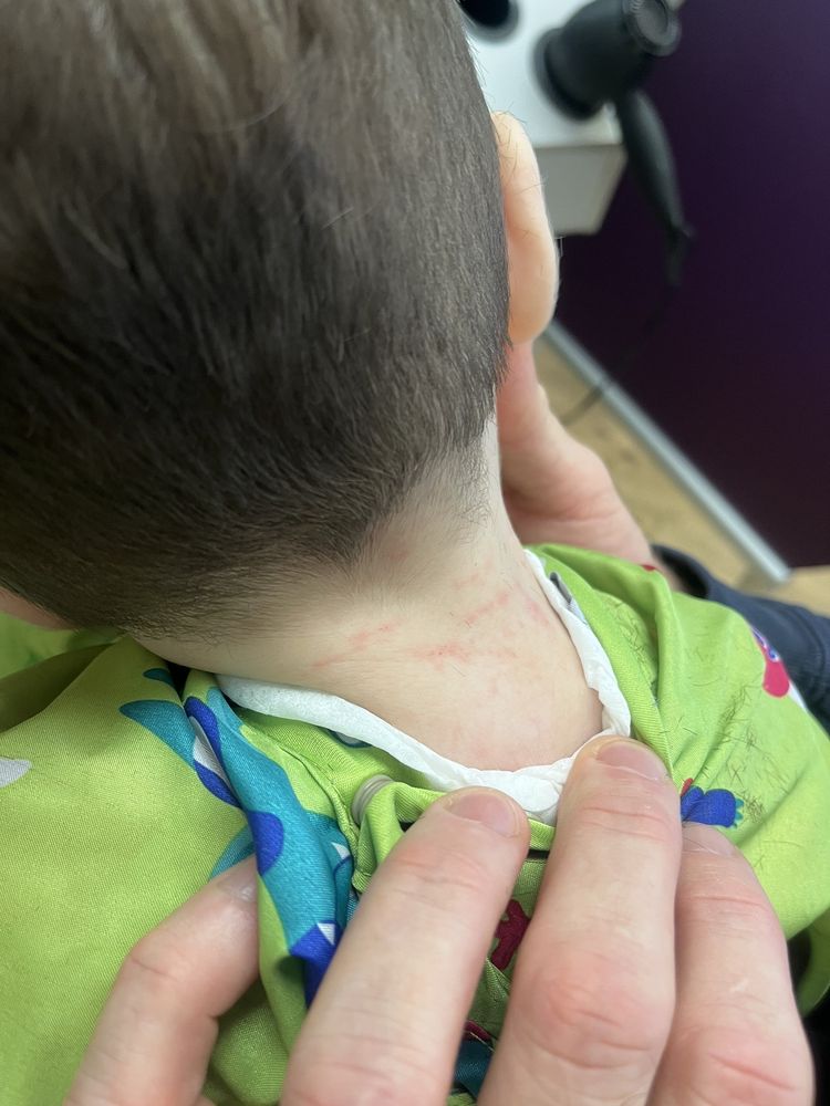 GREAT CLIPS Updated August 2024 5150 Northland Dr NE, Grand Rapids