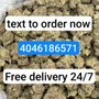 The Gas Station Dispensary