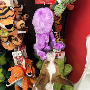 Petco - Toys galore - Pet Stores Near Me - Irvine, California Petco - Toys galore - Pet Stores Near Me - Irvine, California